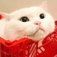 梁育倫 1