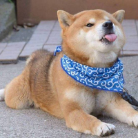 顏宏楠