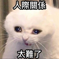 洪婕庭
