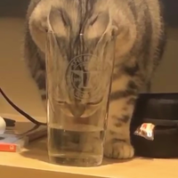 臭爆漁c